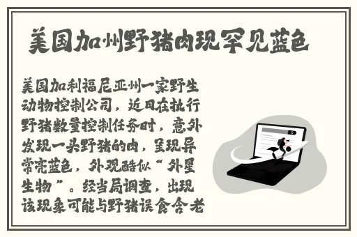 2019**1000合集92